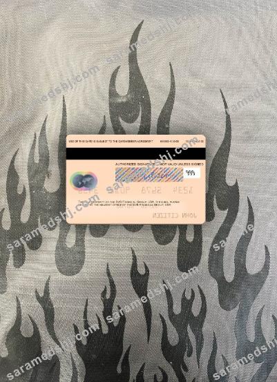 USA SVB Financial Group mastercard photolook back